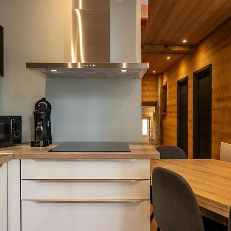 Appartement Le Nid Des Montagnes, Alliance Bois Et Pierre